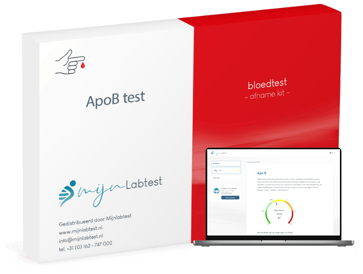 Test ApoB (apolipoprotéine B)