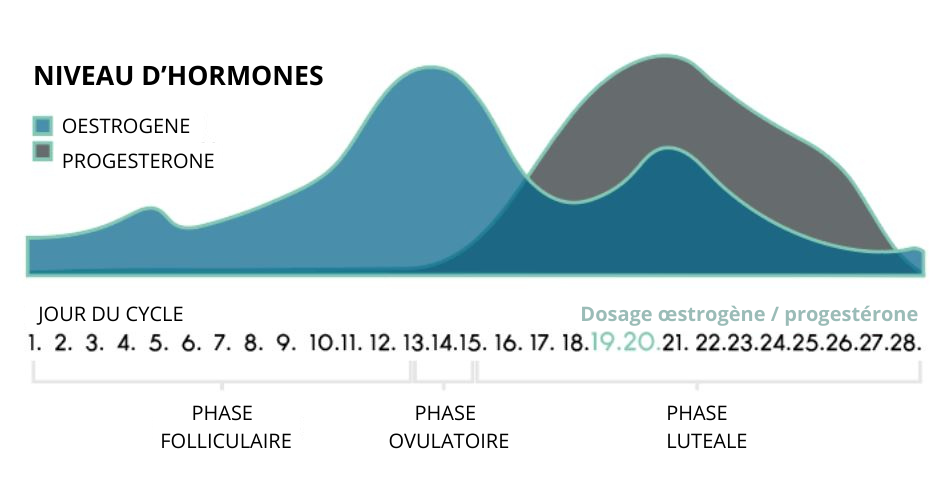 oestrogeen dominantie