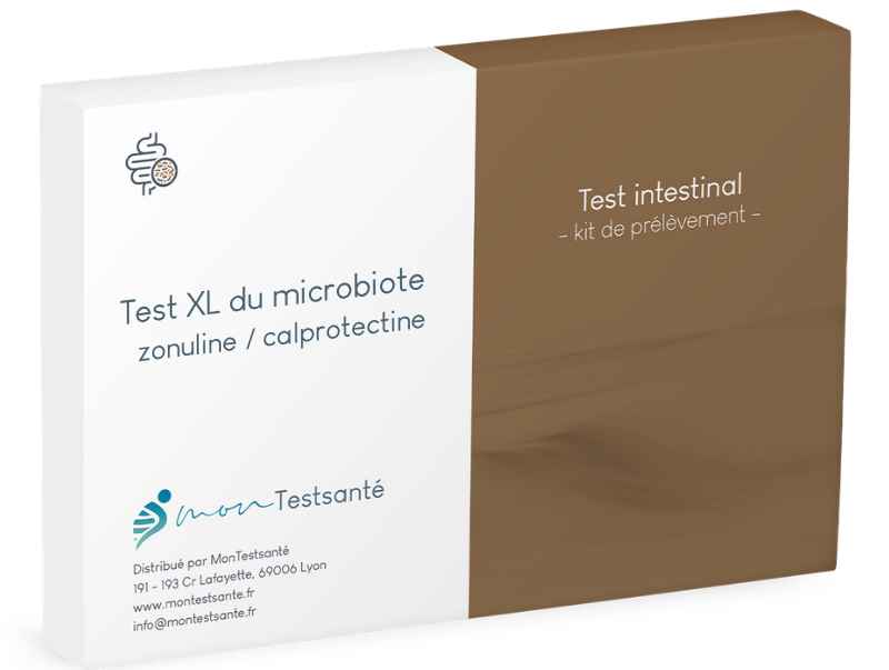 Bilan microbiote XL